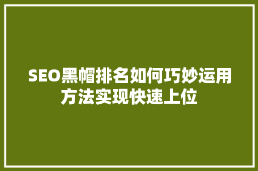 SEO黑帽排名如何巧妙运用方法实现快速上位