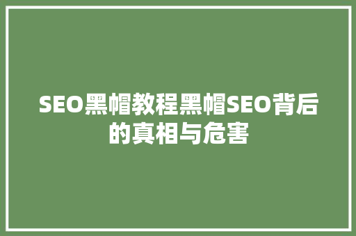 SEO黑帽教程黑帽SEO背后的真相与危害