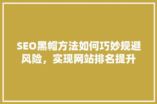 SEO黑帽方法如何巧妙规避风险，实现网站排名提升