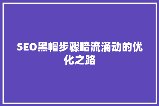 SEO黑帽步骤暗流涌动的优化之路