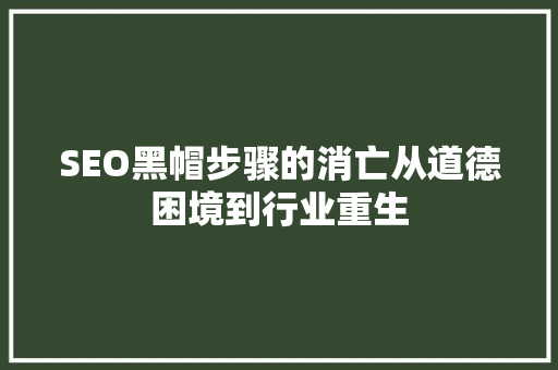 SEO黑帽步骤的消亡从道德困境到行业重生