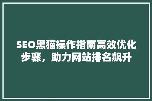 SEO黑猫操作指南高效优化步骤，助力网站排名飙升