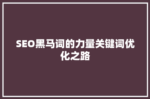 SEO黑马词的力量关键词优化之路