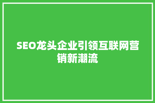 SEO龙头企业引领互联网营销新潮流