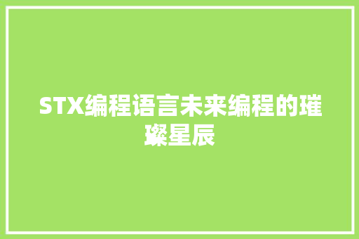 STX编程语言未来编程的璀璨星辰