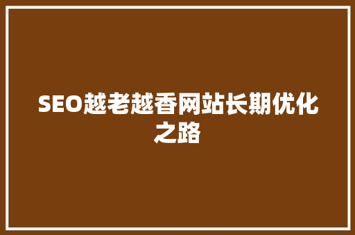 SEO越老越香网站长期优化之路