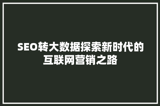 SEO转大数据探索新时代的互联网营销之路