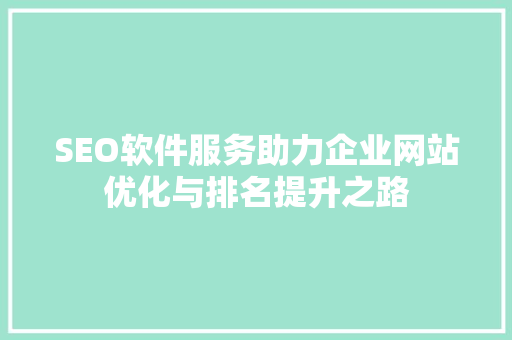 SEO软件服务助力企业网站优化与排名提升之路