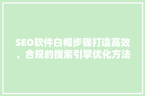 SEO软件白帽步骤打造高效、合规的搜索引擎优化方法