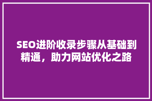 SEO进阶收录步骤从基础到精通，助力网站优化之路