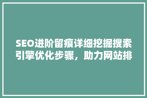 SEO进阶留痕详细挖掘搜索引擎优化步骤，助力网站排名提升