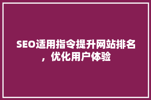 SEO适用指令提升网站排名，优化用户体验