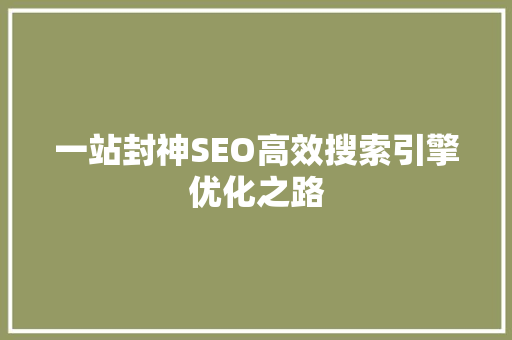 一站封神SEO高效搜索引擎优化之路