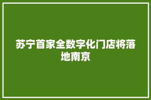 苏宁首家全数字化门店将落地南京