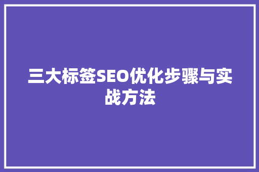 三大标签SEO优化步骤与实战方法