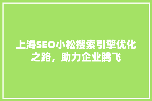 上海SEO小松搜索引擎优化之路，助力企业腾飞