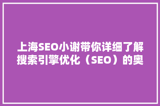 上海SEO小谢带你详细了解搜索引擎优化（SEO）的奥秘