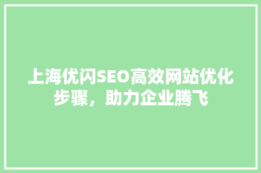 上海优闪SEO高效网站优化步骤，助力企业腾飞