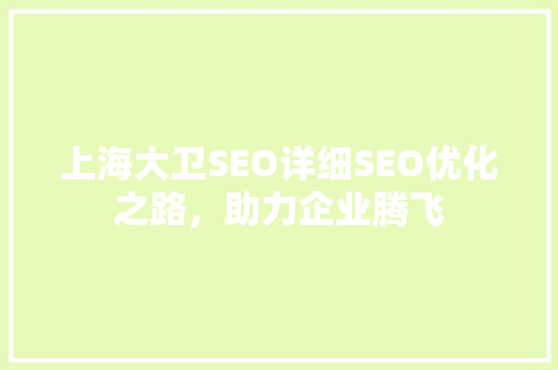 上海大卫SEO详细SEO优化之路，助力企业腾飞