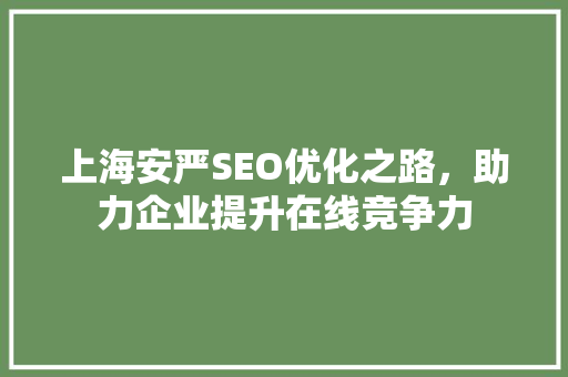 上海安严SEO优化之路，助力企业提升在线竞争力