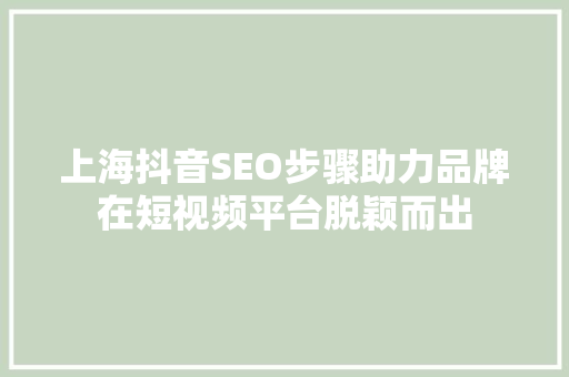 上海抖音SEO步骤助力品牌在短视频平台脱颖而出