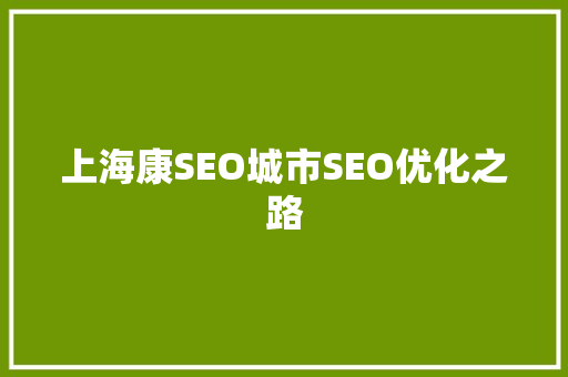 上海康SEO城市SEO优化之路