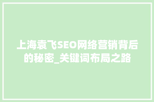 上海袁飞SEO网络营销背后的秘密_关键词布局之路