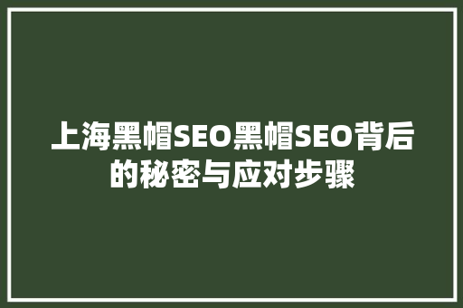 上海黑帽SEO黑帽SEO背后的秘密与应对步骤