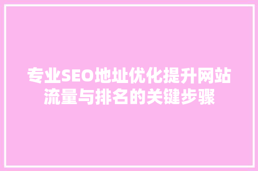 专业SEO地址优化提升网站流量与排名的关键步骤