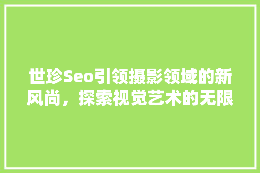 世珍Seo引领摄影领域的新风尚，探索视觉艺术的无限可能