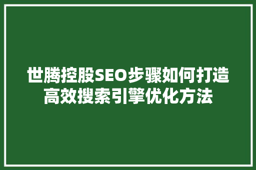 世腾控股SEO步骤如何打造高效搜索引擎优化方法