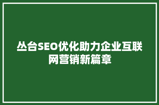 丛台SEO优化助力企业互联网营销新篇章