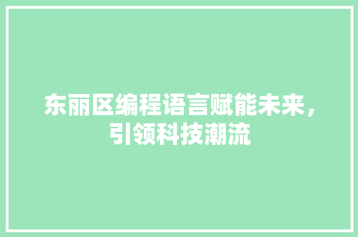 东丽区编程语言赋能未来，引领科技潮流