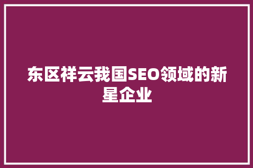 东区祥云我国SEO领域的新星企业