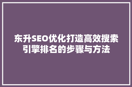 东升SEO优化打造高效搜索引擎排名的步骤与方法