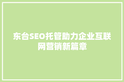 东台SEO托管助力企业互联网营销新篇章