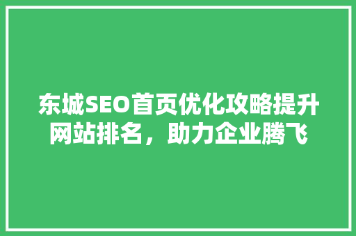 东城SEO首页优化攻略提升网站排名，助力企业腾飞