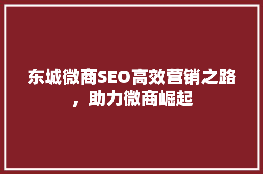 东城微商SEO高效营销之路，助力微商崛起