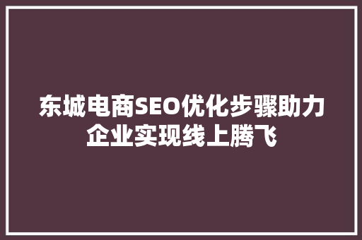 东城电商SEO优化步骤助力企业实现线上腾飞