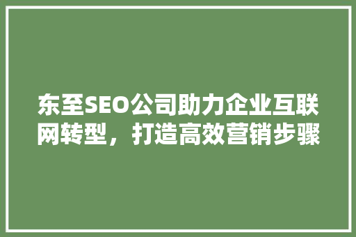 东至SEO公司助力企业互联网转型，打造高效营销步骤