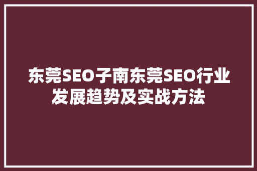 东莞SEO子南东莞SEO行业发展趋势及实战方法