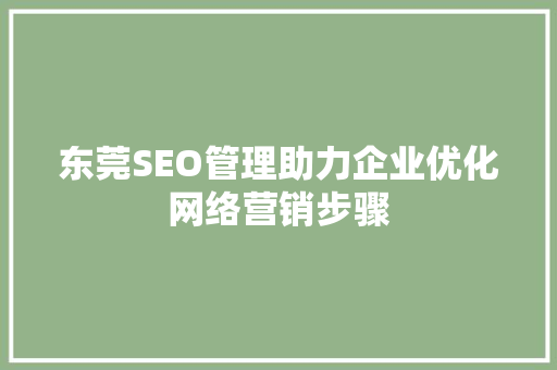 东莞SEO管理助力企业优化网络营销步骤