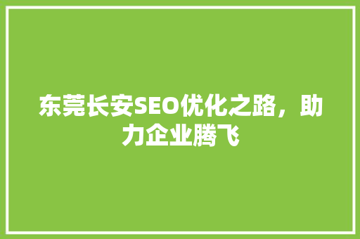 东莞长安SEO优化之路，助力企业腾飞