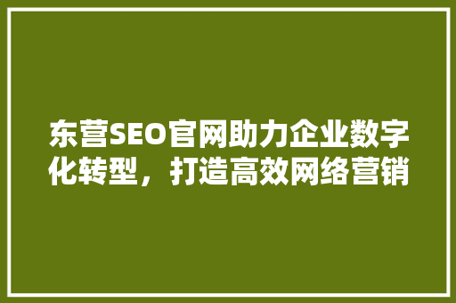 东营SEO官网助力企业数字化转型，打造高效网络营销步骤