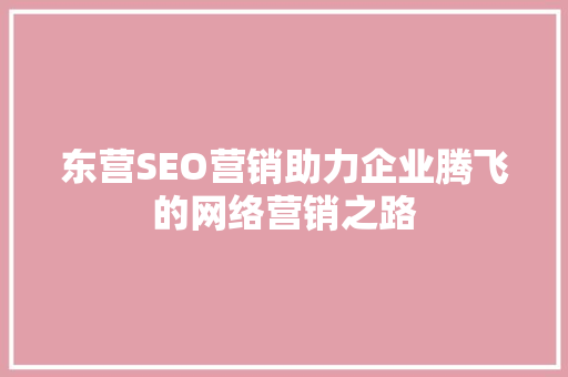 东营SEO营销助力企业腾飞的网络营销之路