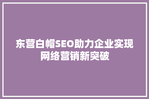 东营白帽SEO助力企业实现网络营销新突破