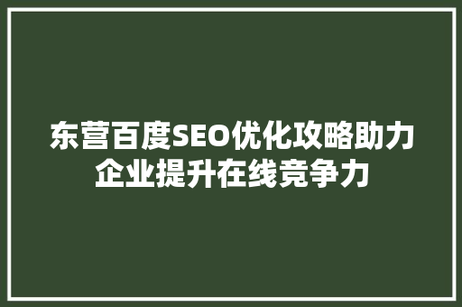 东营百度SEO优化攻略助力企业提升在线竞争力