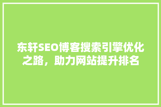 东轩SEO博客搜索引擎优化之路，助力网站提升排名