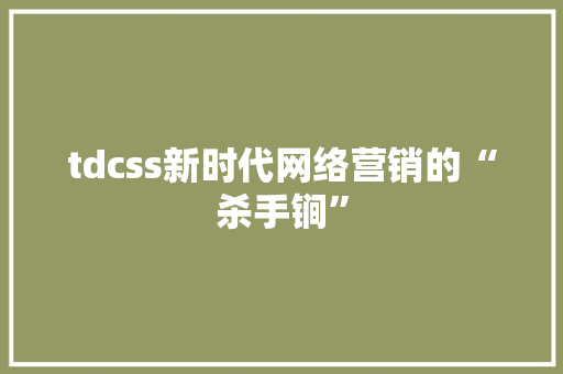 tdcss新时代网络营销的“杀手锏”