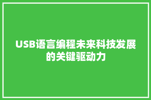 USB语言编程未来科技发展的关键驱动力